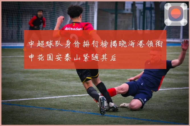 中超球队身价排行榜揭晓海港领衔申花国安泰山紧随其后