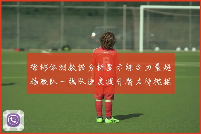 徐彬体测数据分析显示综合力量超越狼队一线队速度提升潜力待挖掘