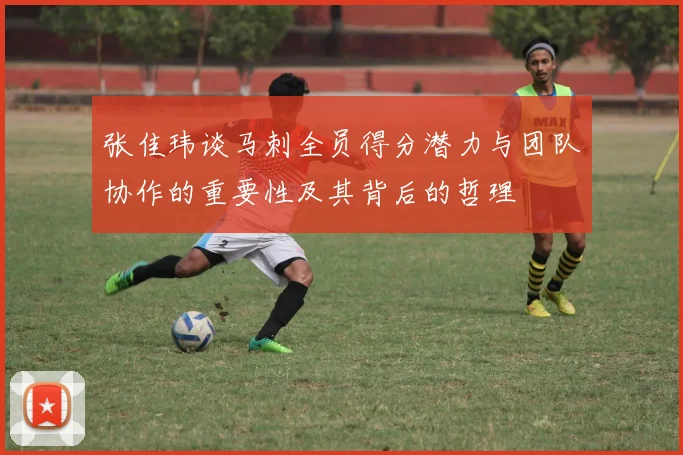 张佳玮谈马刺全员得分潜力与团队协作的重要性及其背后的哲理
