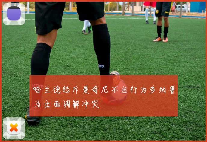 哈兰德怒斥曼奇尼不当行为多纳鲁马出面调解冲突
